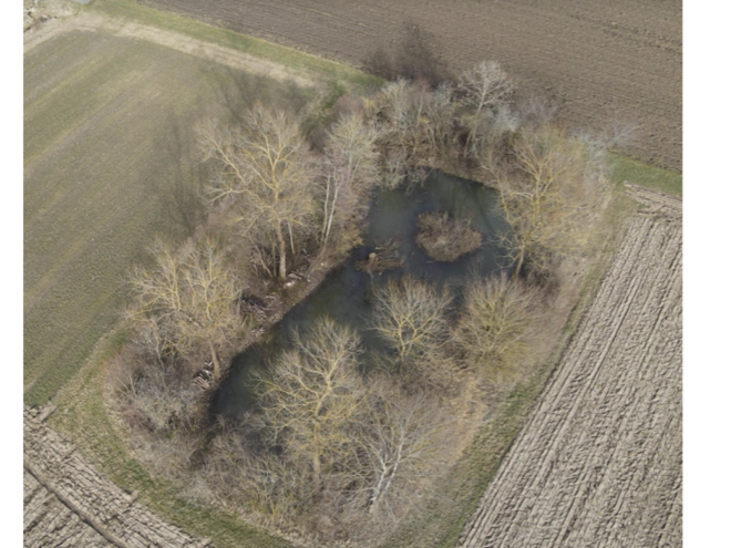 Ein Luftbild einer Hüle mit Wasser, von Bäumen umrandet auf Wiese und Feld.