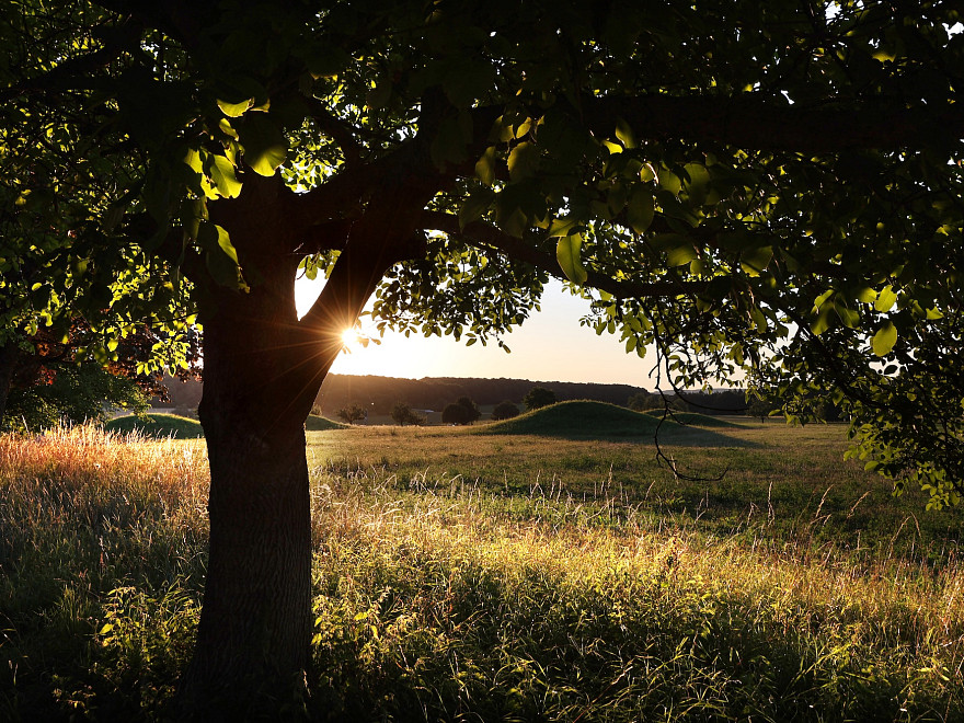 Eine Wiese im Abendschein, im Hintergrund keltische Grabhügel vor einem Wäldchen. Die Wiese ist hoch. Im Vordergrund steht ein Baum, der das ganze bestattet.